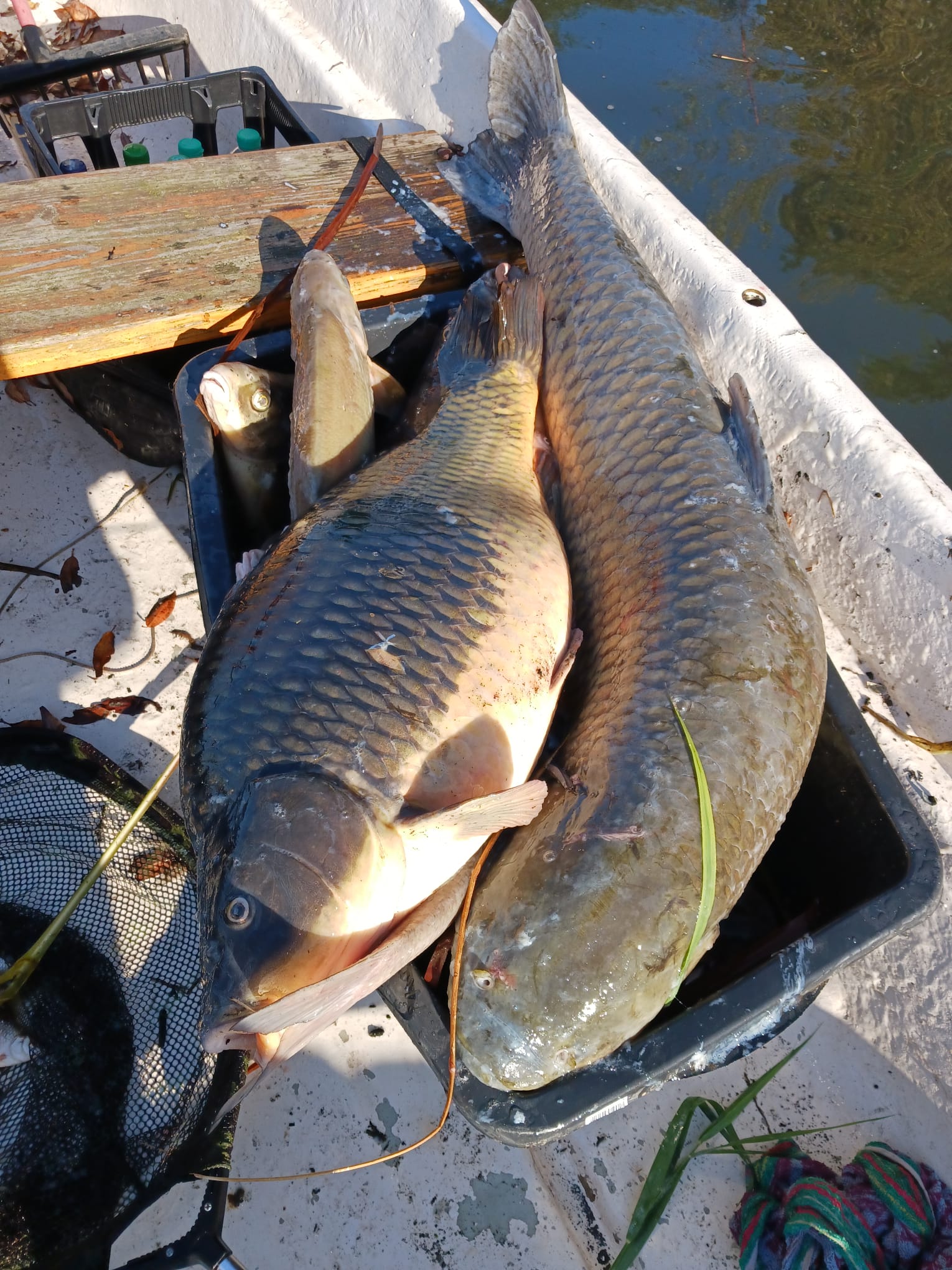 Sauerstoffmangel 2023